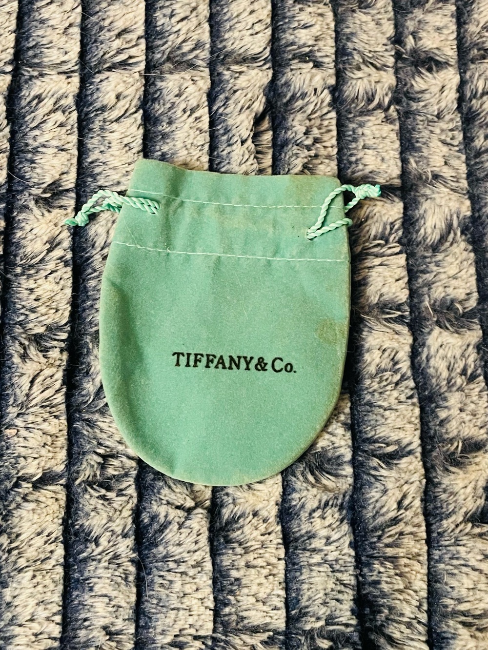 Tiffany & Co. Signature Robin's Egg Green Drawstring Jewelry Pouch